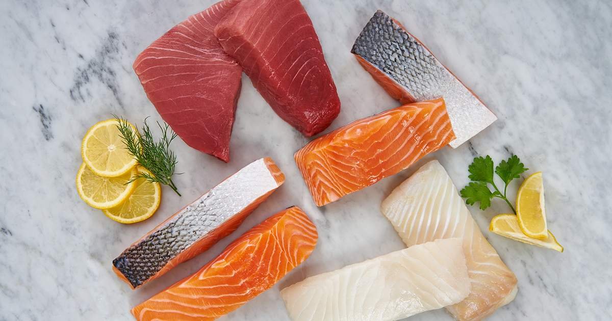 Fish Meat